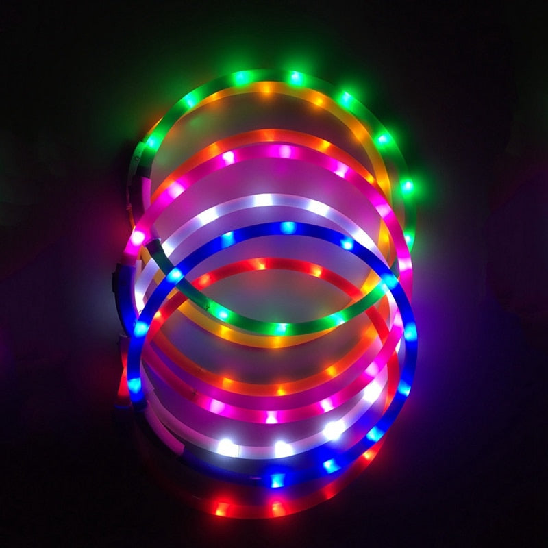 Pets LED Necklace